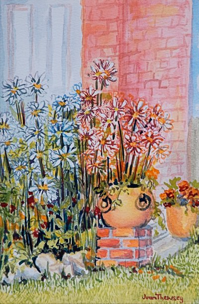 Marguerites dans le jardin de la chaumière - Joan Thewsey